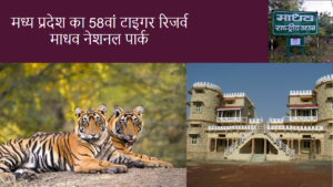 madhav-tiger-reserve